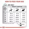 Comida seca para cães Royal Canin Anallergenic Small 1,5 kg — fórmula hipoalergénica para cães adultos de raças pequenas