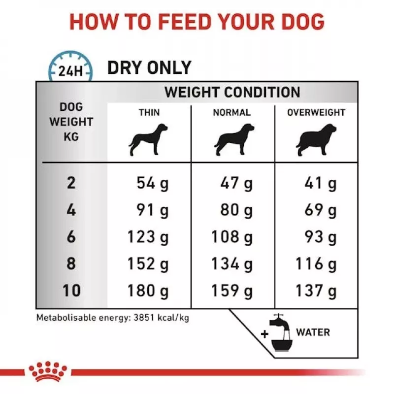 Comida seca para cães Royal Canin Anallergenic Small 1,5 kg — fórmula hipoalergénica para cães adultos de raças pequenas