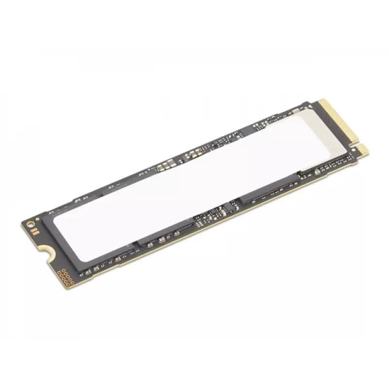 Disco sólido interno Lenovo 4XB1S30112 1 TB M.2 PCI Express 5.0 NVMe