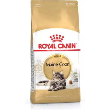 Comida seca para gatos Royal Canin Maine Coon Adult 4 kg — frango, 31 % proteína, 20 % gordura