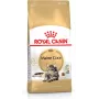 Royal Canin FBN Maine Coon Adult alimento seco para gatos, 4 kg