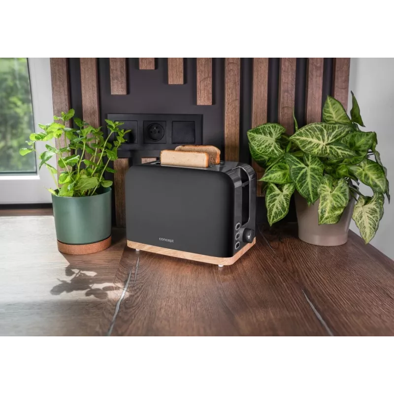 Torradeira Concept Elwood TE2016, 2 fatias, preto