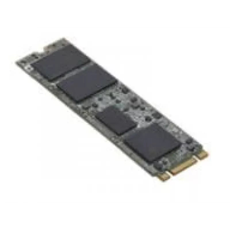 Fujitsu S26361-F5816-L240 disco de estado sólido interno 240 GB M.2 Serial ATA III
