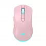 Rato Baracuda BGM-124 Turtle rosa TURTLE-P