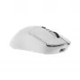 Rato White Shark GM-9010 MAXIMUS branco USB