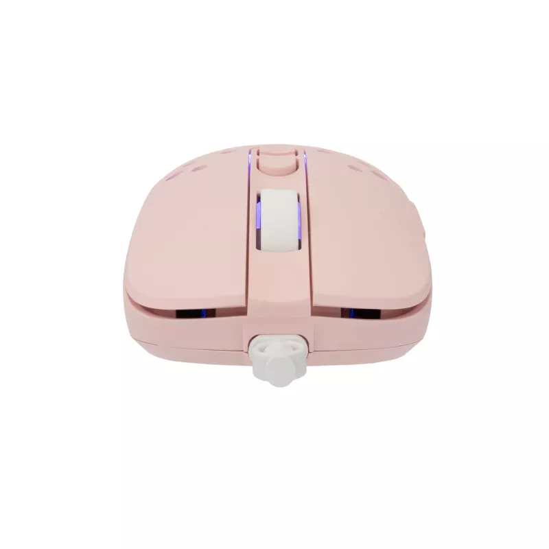 Rato White Shark GM-9004 Tristan-2 rosa RGB USB