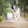 RAW PALEO Ultra Medium&Large Adult vaca - Comida seca para cães - 10 kg