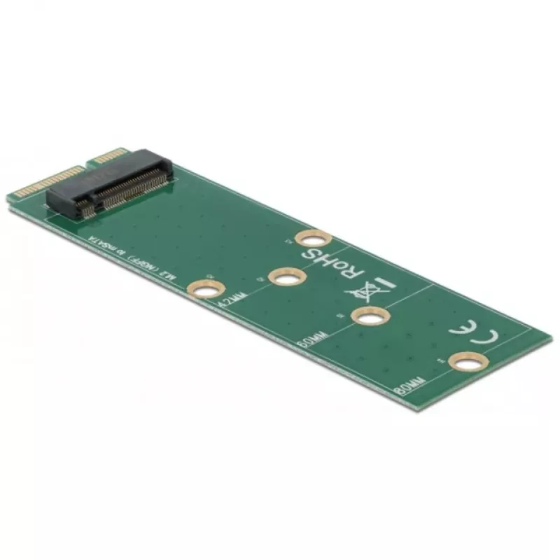 DeLOCK - Adaptador de interface - M.2 - Cartão M.2 - mSATA (64109)
