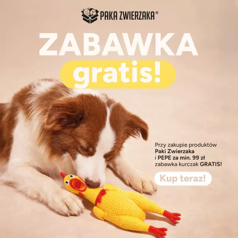 Paka Zwierzaka brinquedo para cães com frango