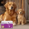 Cápsulas softgel JM Sante Multiway Vet Duocaps Osteo — suporte articular para cães e gatos adultos, embalagem de 150 g