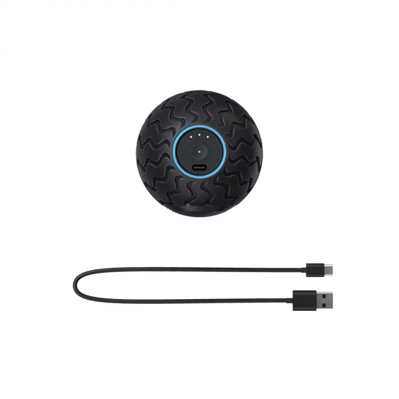 Massajador Theragun Wave Solo Universal preto