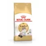 Royal Canin FBN Ragdoll Adult ração seca para gatos, 2 kg