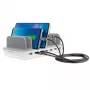 Carregador móvel 4smarts 462310 USB Type-C cinzento smartphone tablet