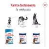 ROYAL CANIN SHN Maxi Ageing pão lata 410 g