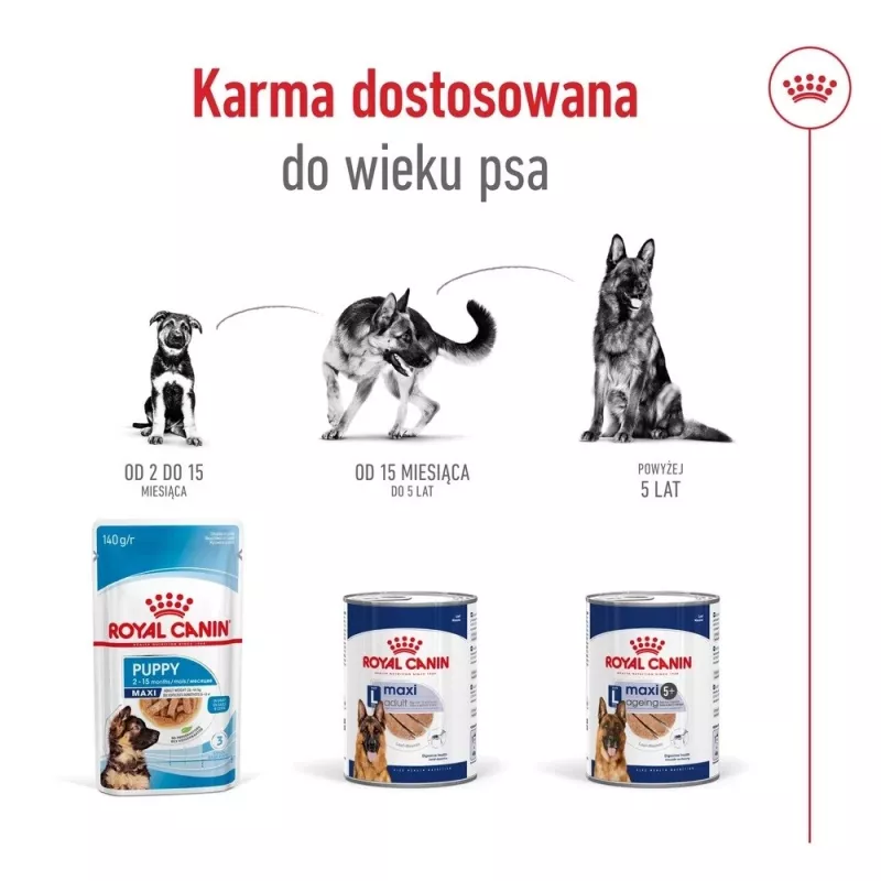 ROYAL CANIN SHN Maxi Ageing pão lata 410 g