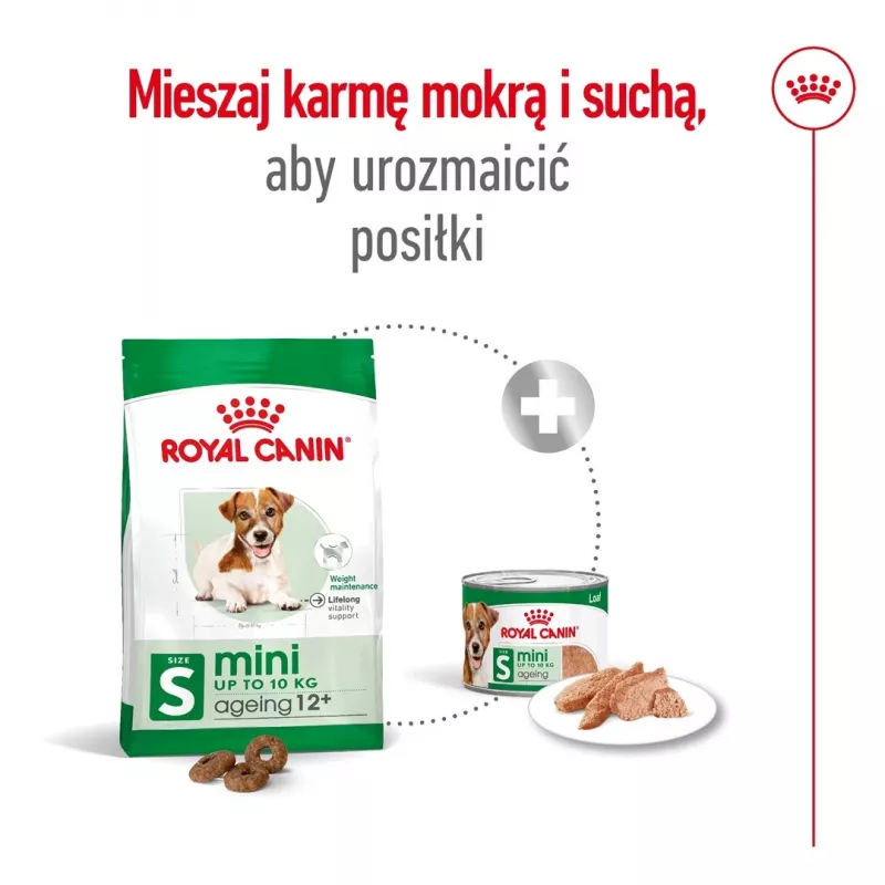 ROYAL CANIN Mini Ageing Adult +12 - Ração seca para cães - 3,5 kg
