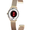 Smartwatch MaxCom FW42 GOLD dourado