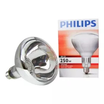Lâmpada incandescente Philips 60800122044 250 W