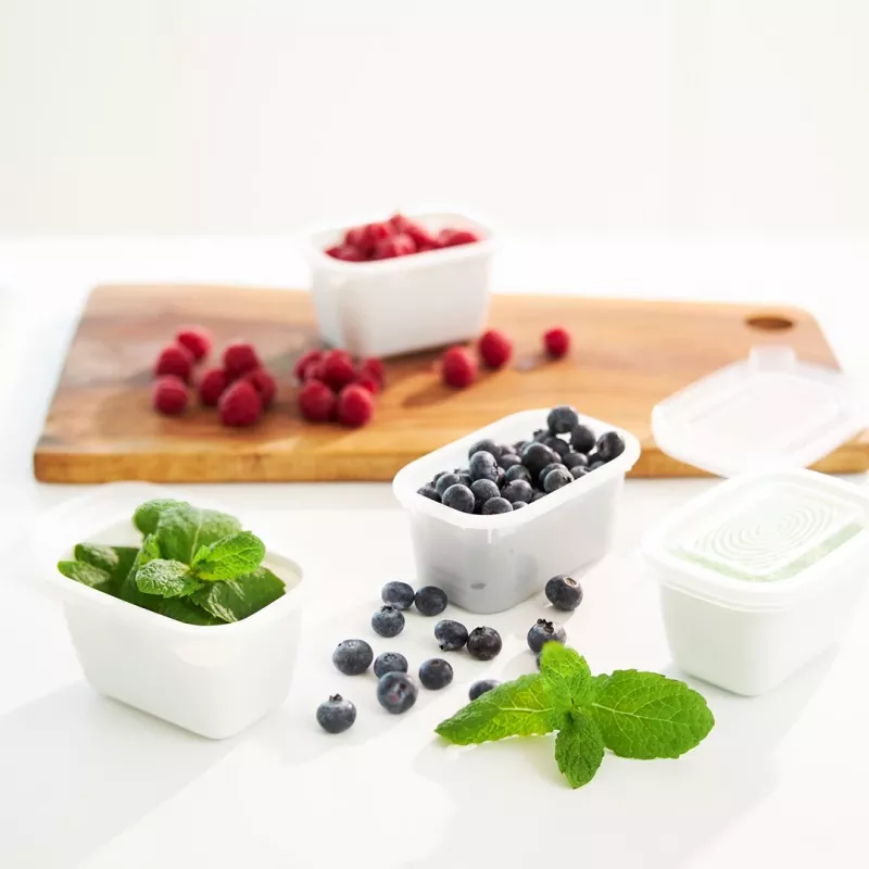 ROTHO Freeze – recipiente de congelação – 6x250ml