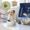 ADDVENA Power of Nature Junior Small Lamb - alimentação seca para cães - 10 kg