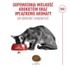 ROYAL CANIN Savour Exigent – Ração seca para gatos – 4 kg