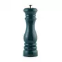 Saleiro e pimenteiro Salter BW13676GREU7, verde, moinho cerâmico manual