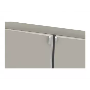 ELSYS EMS LoRa Sensor de Temperatura, Humidade, Fugas e Aceleração (excl. Íman)