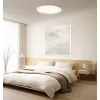 Lâmpada de teto inteligente Xiaomi D30 WiFi 30W