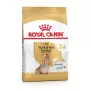 Comida seca para cães Royal Canin Yorkshire Terrier 8+ 1,5 kg — aves, sénior raça pequena, 29 % proteína, 18 % gordura