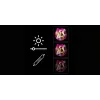 Luz de espelho LED Neon MANTA MASNL130PK Style Neon Lights BEAUTY, destaque rosa, iluminação decorativa de espelho
