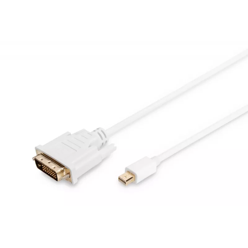 Cabo DisplayPort 1.1a Mini DP-DVI Type-A macho-macho 2,0 m