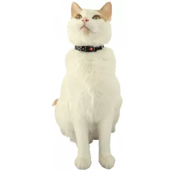 ZOLUX Chatouille preta - coleira para gatos