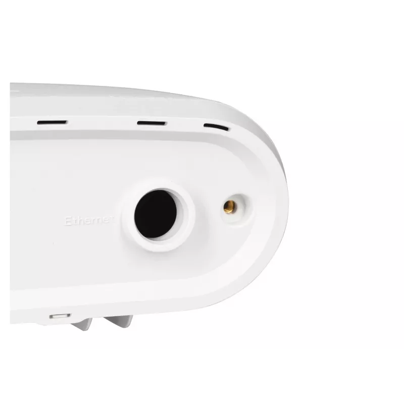 Zyxel ACCESSORY-ZZ0102F acessório para ponto de acesso WLAN tampa de cobertura