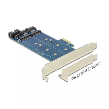 DeLOCK 89374 placa PCI Express x1 para 2x M.2 NGFF internos