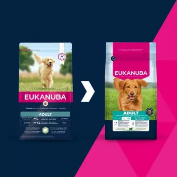 Comida seca para cães EUKANUBA Adult Large Breed Lamb & Rice 12 kg – alimento completo para cães adultos de raças grandes e gigantes