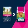 Comida seca para cães EUKANUBA Adult Large Breed Lamb & Rice 12 kg – alimento completo para cães adultos de raças grandes e gigantes