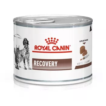 Ração húmida para convalescença Royal Canin Recovery Adult 195 g — aves, 73 % humidade, 12,7 % proteína