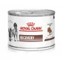 Royal Canin Recovery comida húmida para cães e gatos, 195 g