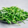 PNOS rúcula Eruca sativa sementes em fita, 6 m