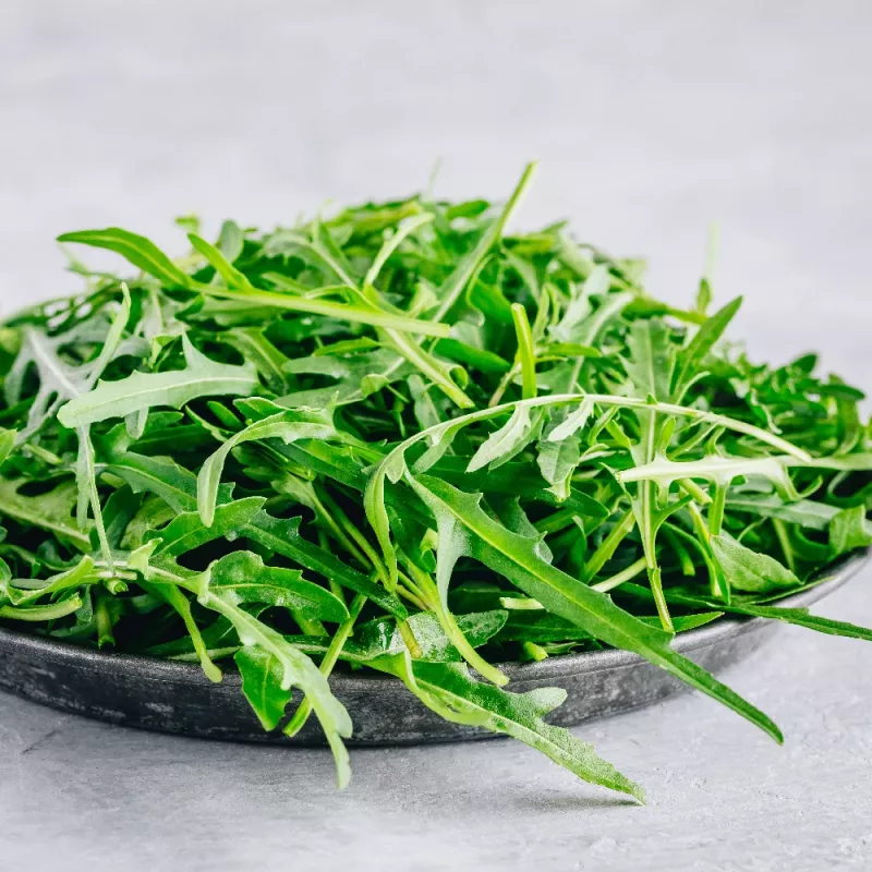 PNOS rúcula Eruca sativa sementes em fita, 6 m