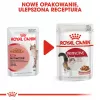 Royal Canin FHN Instinctive comida húmida em paté para gatos adultos, 12 x 85 g