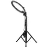 Agfa Arl11xl Ring Light LED Ring 11 polegadas + tripé + telecomando