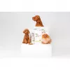 Ração seca para cães nature's protection Superior Care Red Coat Adult raça pequena sem cereais salmão 10 kg