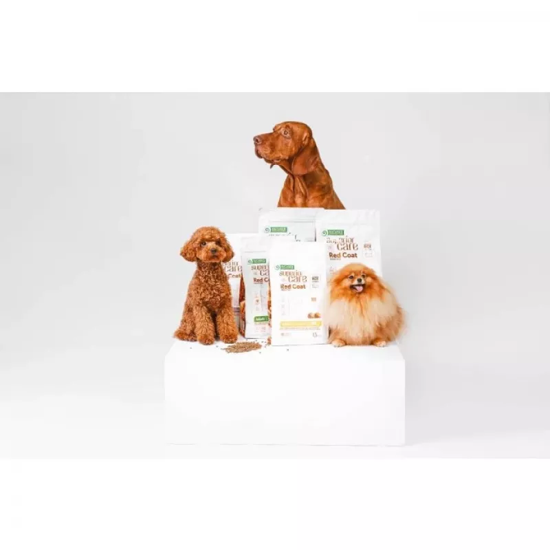 Ração seca para cães nature's protection Superior Care Red Coat Adult raça pequena sem cereais salmão 10 kg