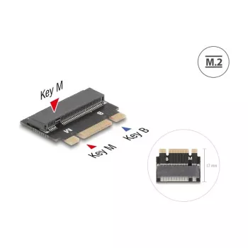 DeLOCK 64342 Adaptador M.2 interno interface host M.2 macho preto