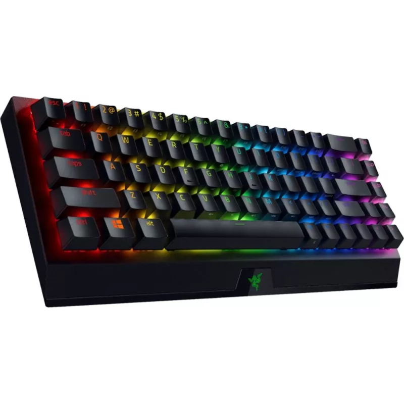Teclado Razer BlackWidow V3 Mini