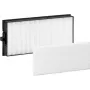Panasonic ET-RFF200 - Filtro de ar para projetor - para PT-FW530E, FW530EAJ, FW530EJ, FW530U, FX500U, FZ570E, FZ570EAJ, FZ570EJ, FZ570U (ET-RFF200)