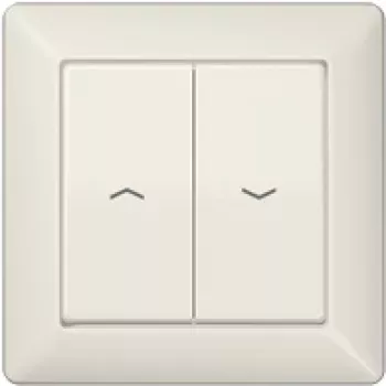 Jung AS 590-5 P Interruptor de luz marfim duroplástico (AS590-5P)