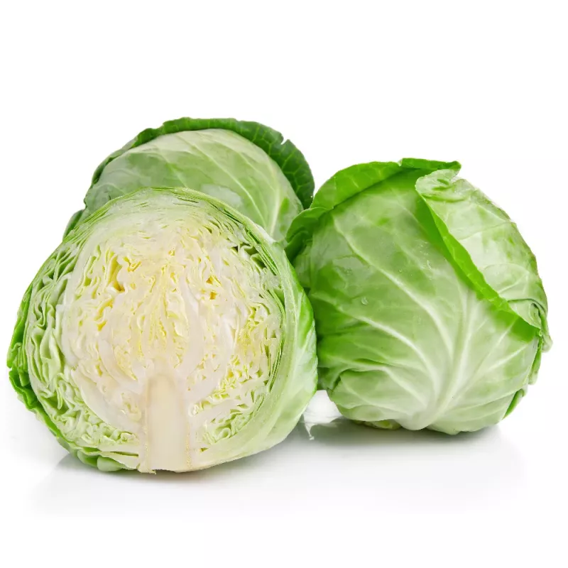 PNOS couve branca Roem Van Enkhuizen 2 sementes de hortícolas, 2 g