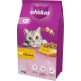 Whiskas Adult comida seca para gatos com frango, 7 kg